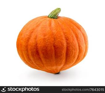 Fresh pumpkin isolated. Organic orange pumpkin on white background. Cut out with clipping path. Fresh pumpkin isolated