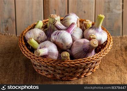 Fresh purple aromatic garlic on a rustic wooden background. Ingredient for cooking.. Fresh aromatic garlic on a rustic wooden background. Ingredient for cooking.
