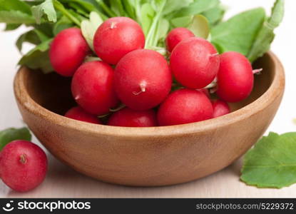 fresh radish