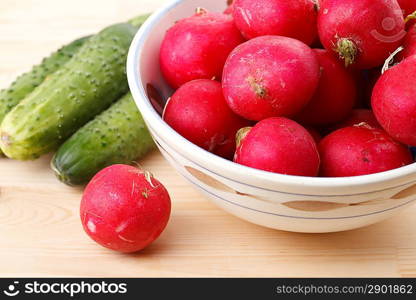 Fresh radish and cucumbers