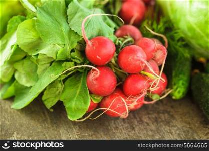 Fresh radish bunch and other spring vegetables