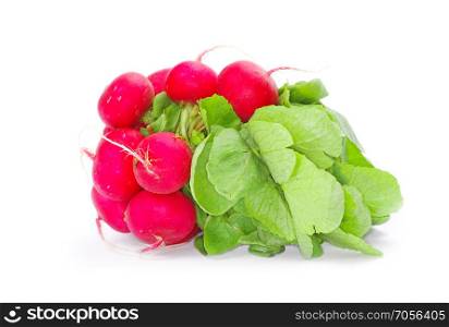 Fresh radishes on a white background