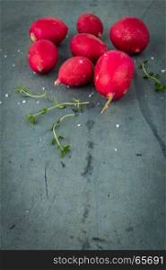 Fresh radishes on vintage background. Healthy vegetable.