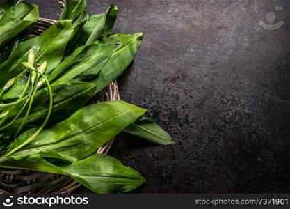 Fresh ramson, wild garlic, leaves on dark rustic background, top view. Copy space for your design, text or recipes. Spring seasonal food