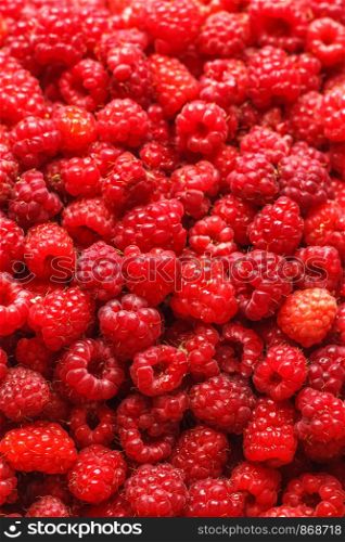 Fresh raspberries. Foodbackground. selective focus