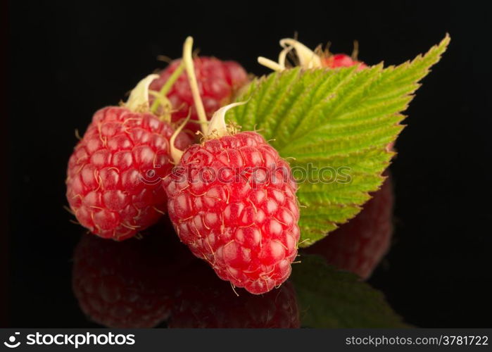 Fresh raspberries on black reflective background.