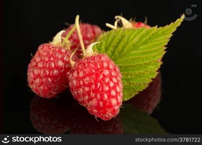 Fresh raspberries on black reflective background.