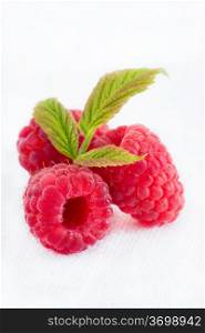 Fresh raspberries over light background, selective focus