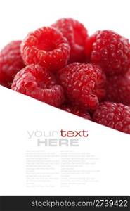 fresh raspberries over white (easy removable text)