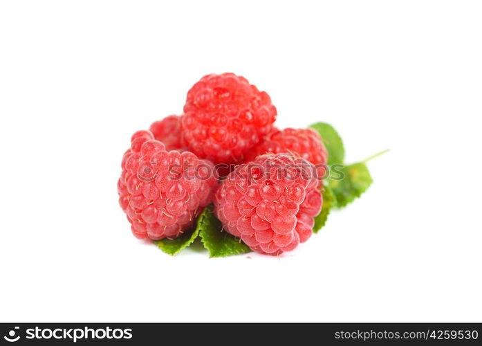 fresh raspberry