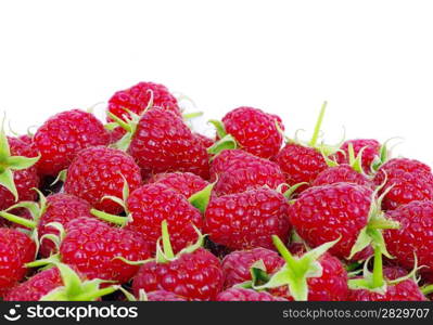 fresh raspberry closeup isolated on white background