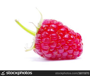 fresh raspberry closeup isolated on white background