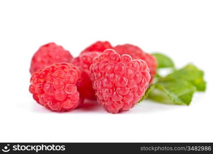 fresh raspberry closeup on a white background