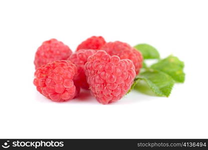 fresh raspberry closeup on a white background