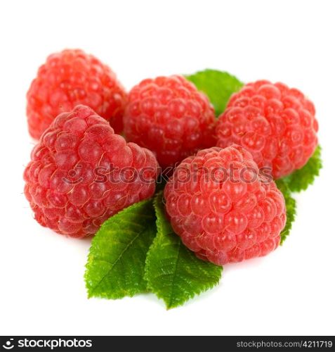 fresh raspberry closeup on a white background