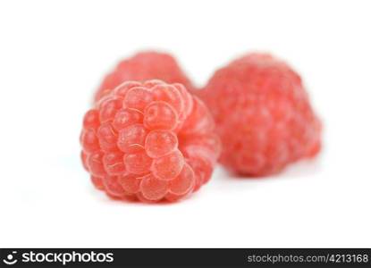 fresh raspberry closeup on a white background