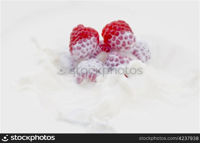 Fresh raspberry dropped into the milk - close up