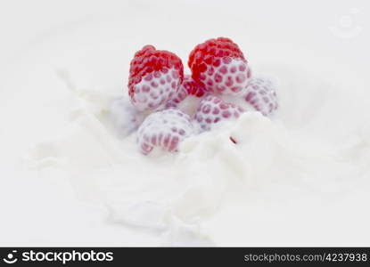Fresh raspberry dropped into the milk - close up