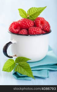 fresh raspberry in enamel cup over blue background