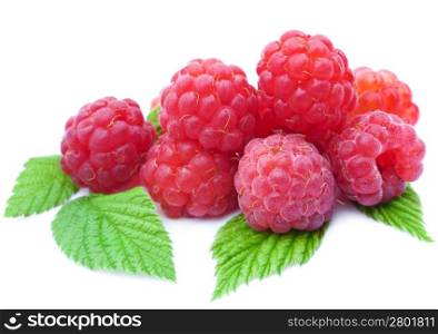 fresh raspberry isolated