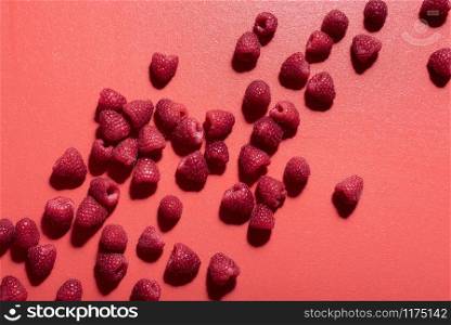 Fresh raspberry pile scattered on a red background. Flat lay of tasty raspberries. Red shades monotone image of berries. Sweet summer fruits.