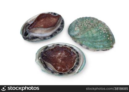 Fresh raw abalones on white background