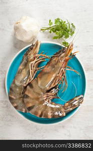 Fresh raw big prawn on a blue plate