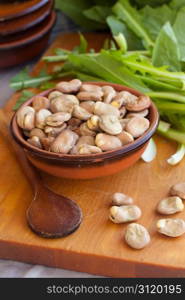 Fresh raw broad beans and wild green chicory