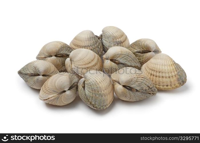 Fresh raw cockles on white background