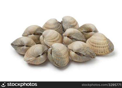Fresh raw cockles on white background