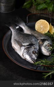 Fresh raw dorado on a tin tray with lemon slices and rosemary. Mockup for fish restaurant, shop or market. Still life in dark colors