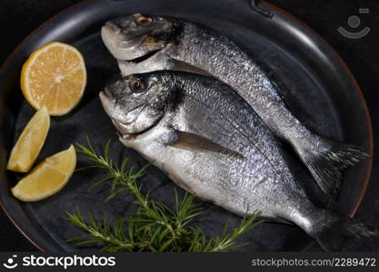 Fresh raw dorado on a tin tray with lemon slices and rosemary. Mockup for fish restaurant, shop or market. Still life in dark colors