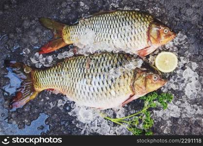 Fresh raw fish on ice for cooked food with lemon on dark background, Common carp freshwater fish market, Carp fish