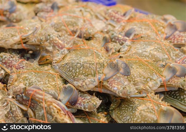 Fresh raw flower crab or blue crab in seafood market. fresh crab