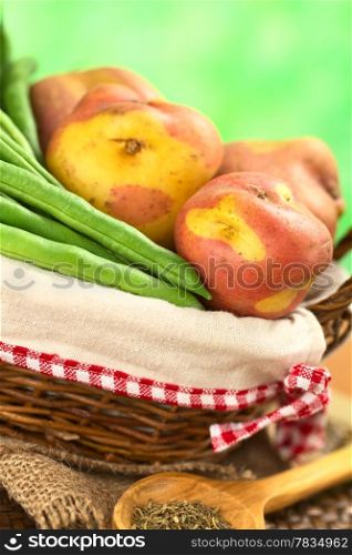 Fresh raw green beans and Peruvian potatoes called Peruanita in basket with dried thyme on wooden spoon in the front and green background (Selective Focus, Focus on the potato in the front and the bean next to it). Green Beans and Potatoes in Basket