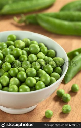 Fresh raw green pea (lat. Pisum Sativum) in white bowl (Selective Focus, Focus on the peas in the middle of the bowl). Fresh Raw Green Pea in White Bowl