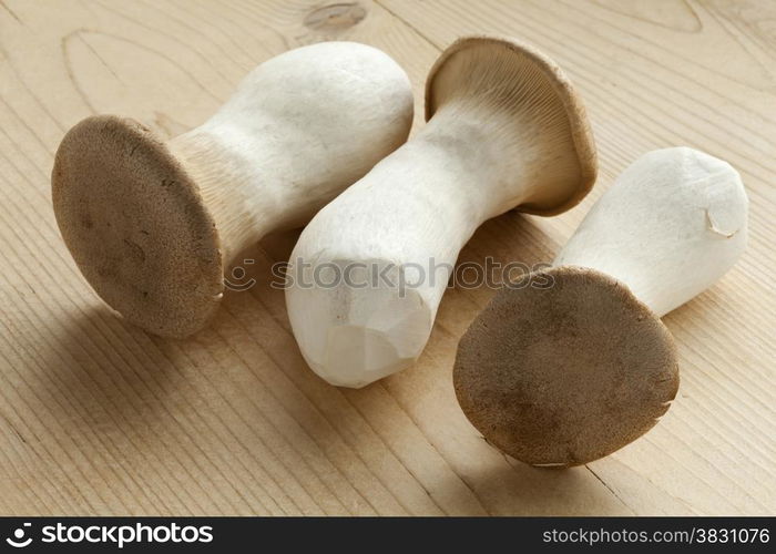 Fresh raw king oyster mushrooms