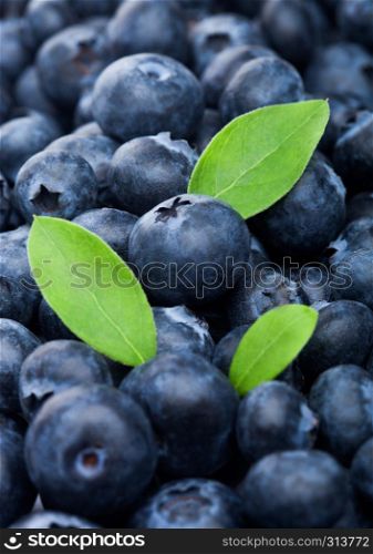 Fresh raw organic blueberries with leaf in pile. Macro