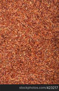 Fresh raw organic red rice on white background.Top view