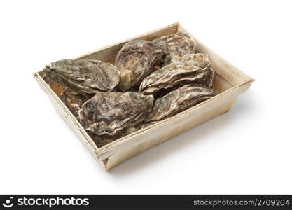Fresh raw oysters in a box on white background