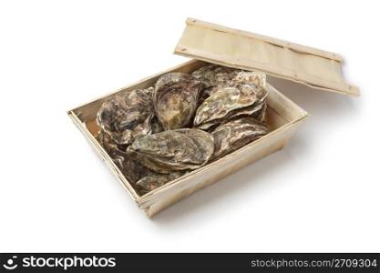 Fresh raw oysters in a box on white background