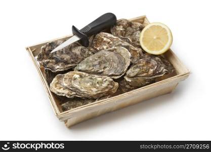 Fresh raw oysters in a box with an oyster-knife and half lemon on white background