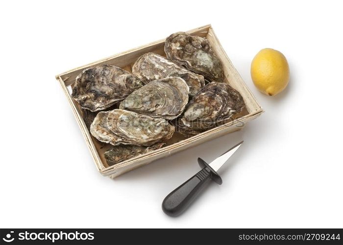 Fresh raw oysters in a box with an oyster-knife and lemon on white background