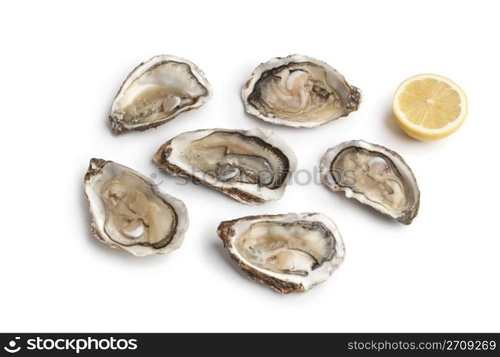 Fresh raw oysters in an open shell on white background