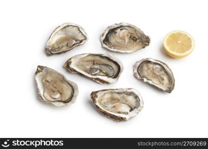 Fresh raw oysters in an open shell on white background