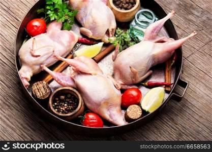 Fresh raw quail and ingredients in a tray on the kitchen table. Whole raw quail