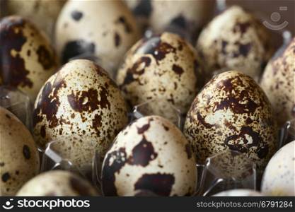 Fresh raw quail eggs in egg box, photographed with natural light (Selective Focus, Focus on the front of the two eggs one third into the image)