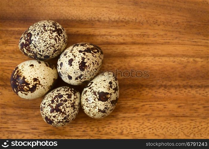 Fresh raw quail eggs on wooden plate, photographed overhead with natural light (Selective Focus, Focus on the top of the eggs)