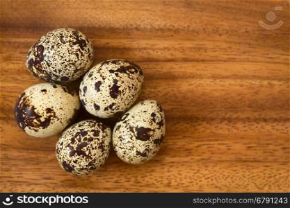 Fresh raw quail eggs on wooden plate, photographed overhead with natural light (Selective Focus, Focus on the top of the eggs)