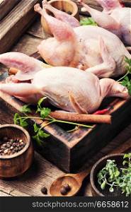 Fresh raw quail on a kitchen board and ingredients.Quail meat. Fresh raw meat quails